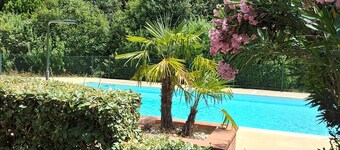 Charming 1-bedroom apartment in Tournefeuille with a terrace, pool, and tennis court