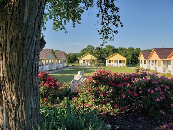 Property grounds - Pristine, fragrance free, countryside cottage & Wellness Center on 20 acres. (Ennis)