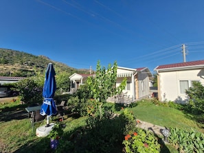 A residential area with houses, a garden, and a blue umbrella.