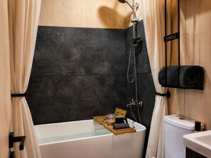 Shower, hair dryer, bidet, towels