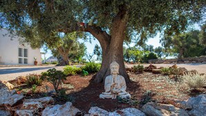 A Buddha statue under a tree in a landscaped garden with rocks and plants. - Biancolivo (Ceglie Messapica)
