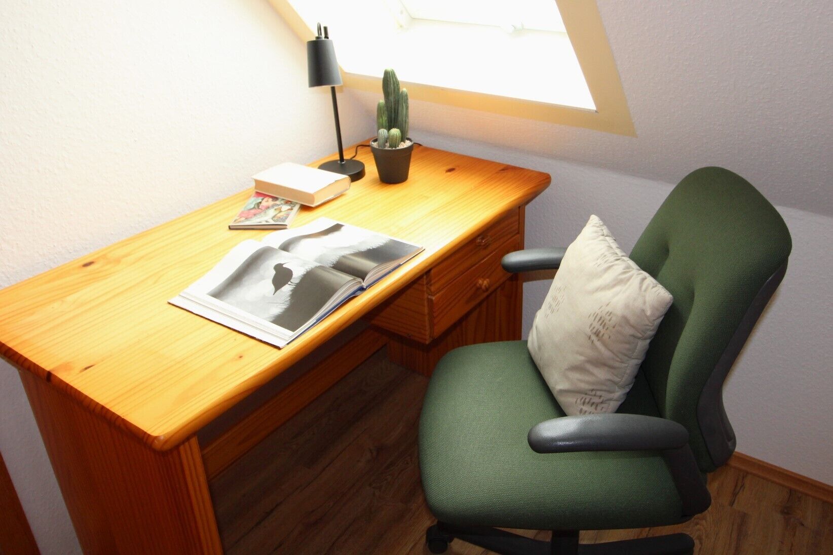 A wooden desk with a lamp, a cactus, and a magazine.