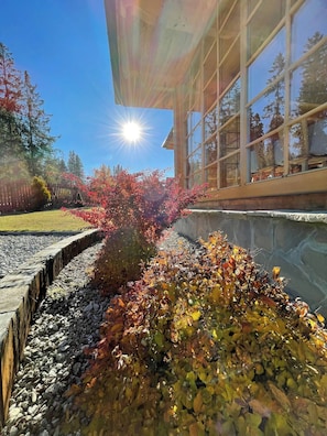 A building with large windows, a stone retaining wall, and a garden with autumn foliage.