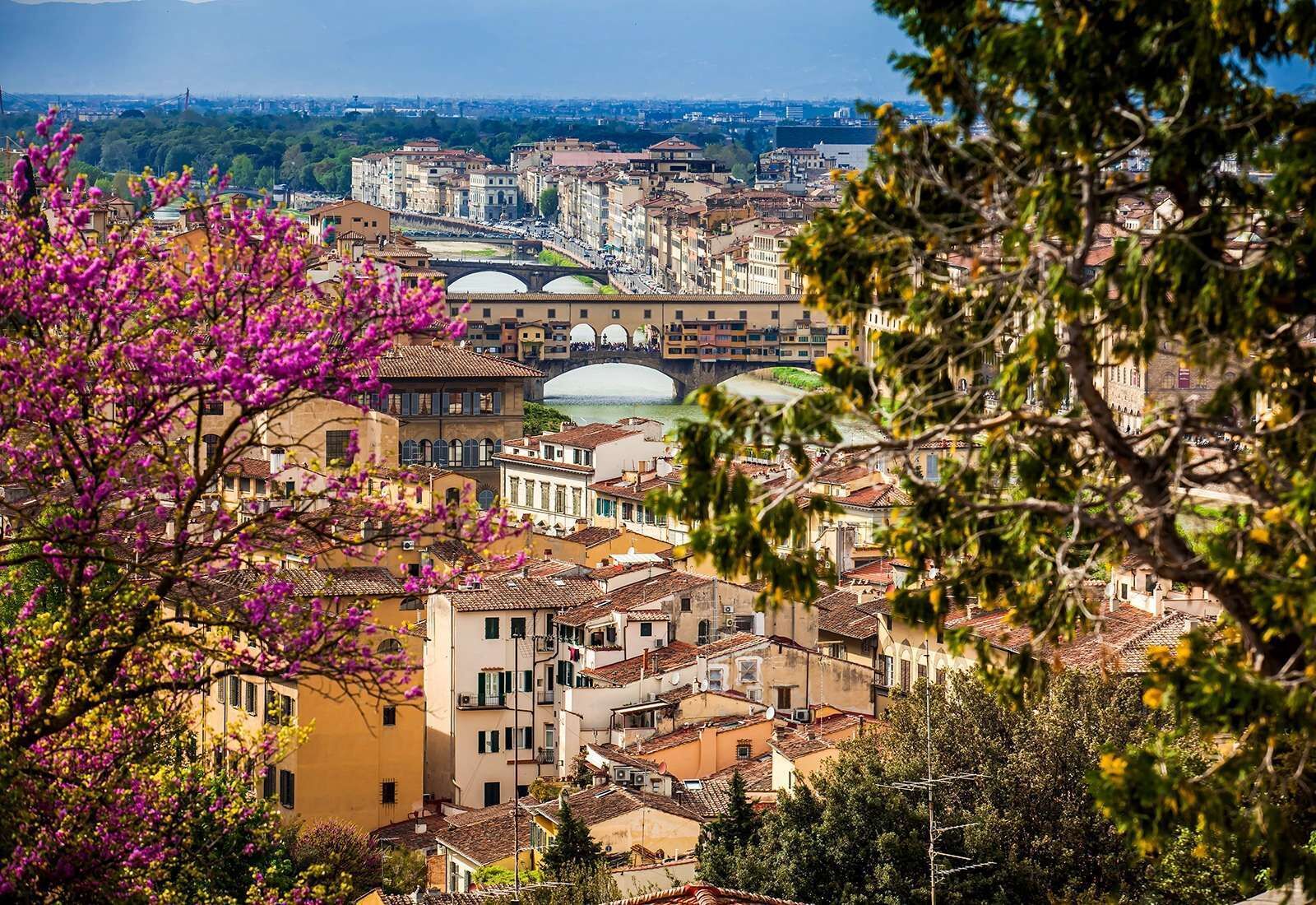 A cityscape with historic buildings, a river, and a bridge.