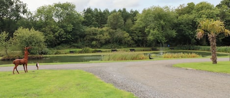A gravel path leading to a body of water with a deer and a palm tree in the foreground.