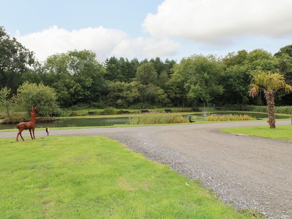 A gravel path leading to a body of water with a deer and a palm tree in the foreground.