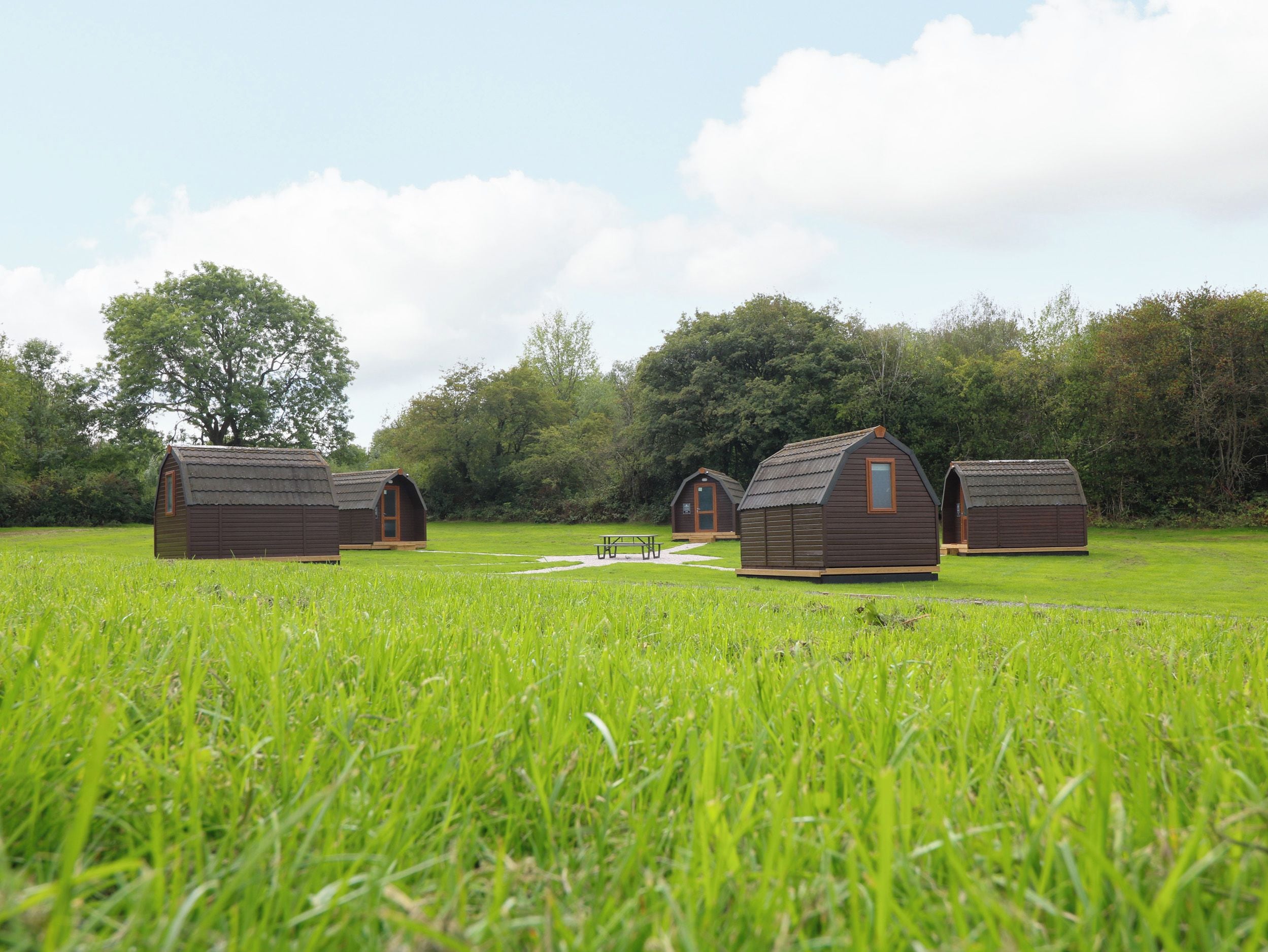 Een rij kleine, houten huisjes in een grasveld, met een picknicktafel in het midden.