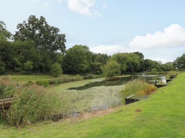 A calm river with a grassy bank and trees in the background.