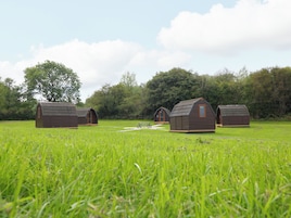 Una hilera de cabañas de madera pequeñas en un campo cubierto de hierba, con árboles al fondo.