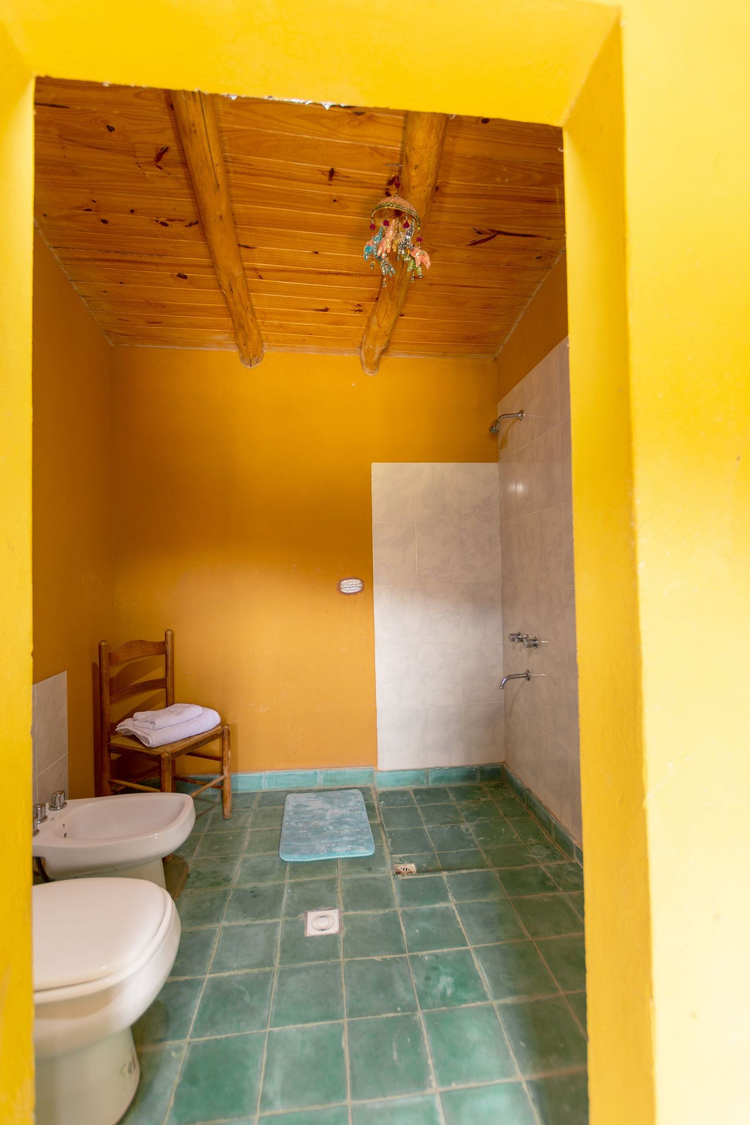 A small bathroom with a wooden ceiling, a shower, a toilet, and a bidet.