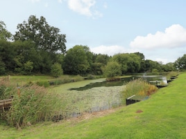 A tranquil riverside setting with a grassy bank, a small water body with lily pads, and dense trees in the background.