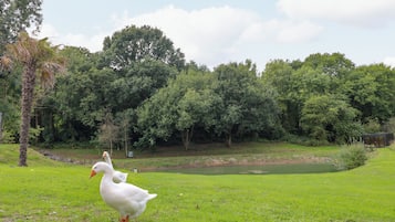 Innvendig