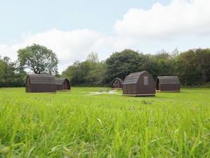 A row of small, wooden cabins in a grassy field with trees in the background.