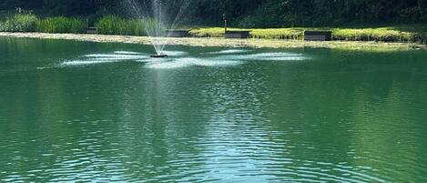 A calm lake with a fountain and ducks swimming.