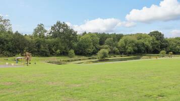 A park with a pond, walking paths, and a gazebo.