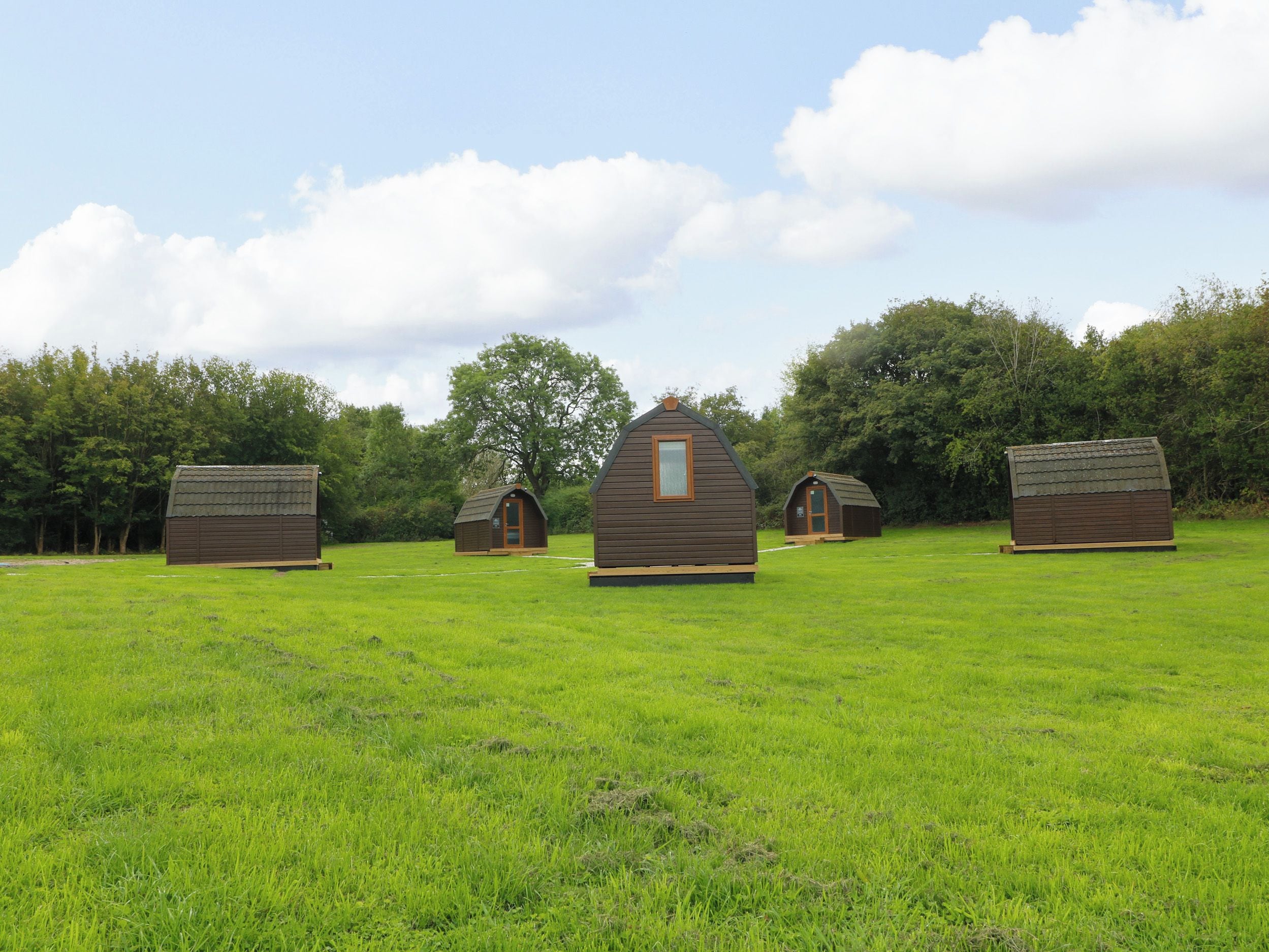 A row of small, wooden cabins in a grassy field with trees in the background.
