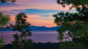 Un paysage naturel composé d’arbres et d’une étendue d’eau.