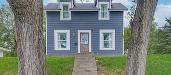 Walk to Dtwn, Park! Fully Renovated 1900s Home