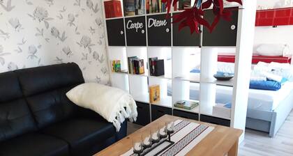 A bright and quiet 60-square-meter vacation rental near Lake Ramsen (no TV or Wi-Fi), perfect for swimming