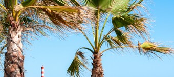 À quelques min de la plage ! Piscines sur place