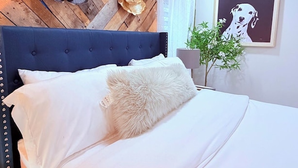 Una cama con ropa de cama blanca y un almohadón mullido, cabecera azul oscuro, decoración floral en la pared y un cuadro con un perro.