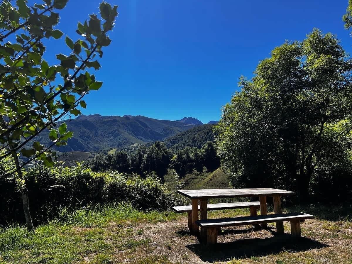Une table de pique-nique dans un cadre naturel, avec des montagnes en arrière-plan.