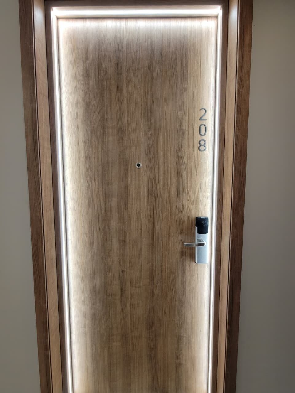 A wooden door with the number 208, a keyhole, and a handle.