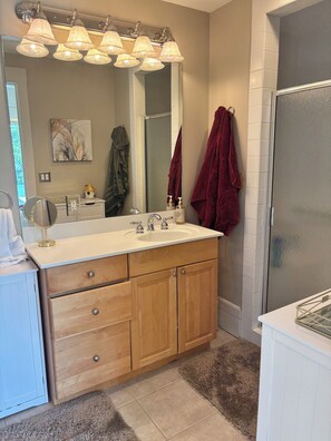 Bathroom - Downtown TC apartment. Walking distance to everything. (Traverse City)
