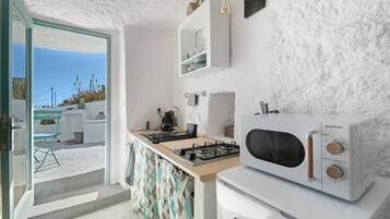 Frigorífico, microondas, horno y placa de cocina