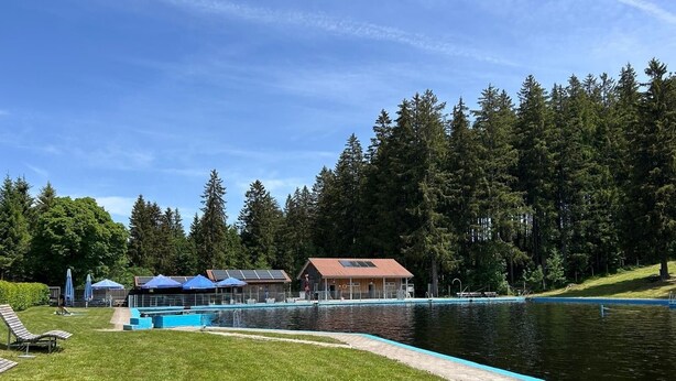 Ein Swimmingpool mit einem Holgebäude, Liegestühlen und bewaldeter Umgebung.