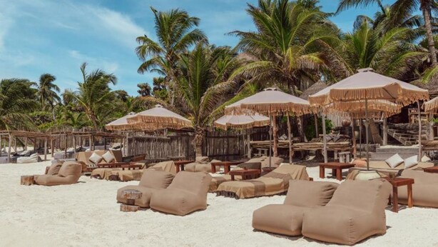 Een strandsetting met ligbedden en rieten parasols, omringd door palmbomen.