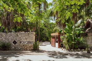 Property grounds - Studio - 3 (Tulum)