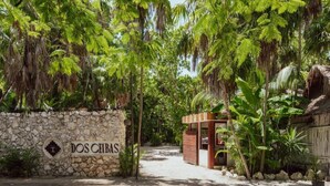 A stone wall with a sign reading 'DOS CEIBAS' and a wooden structure to the right. - Advanced Studies (Tulum)