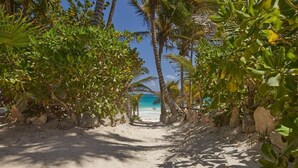 A sandy pathway leading to a beach with palm trees and a clear blue sky. - Advanced Studies (Tulum)