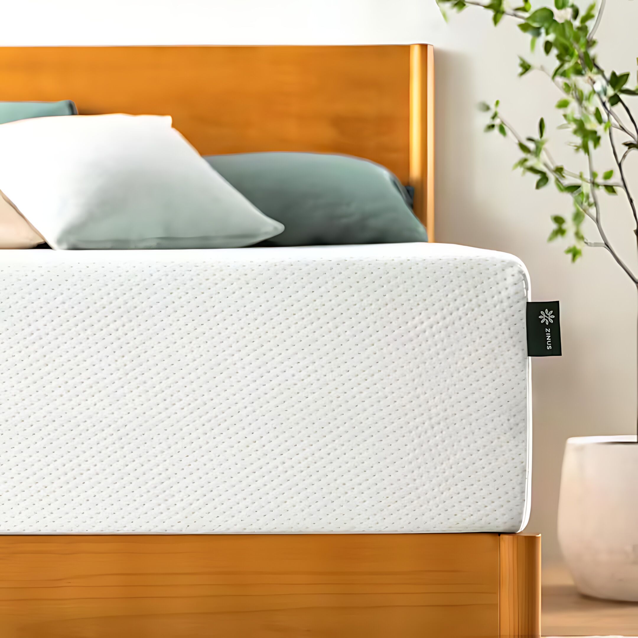 A bed with a white mattress and a pillow, a wooden headboard, and a potted plant beside it.