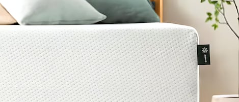 Una cama con colchón y almohada blancos, cabecera de madera y una planta en maceta a un lado.
