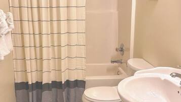 Une salle de bain avec douche, toilettes et lavabo.