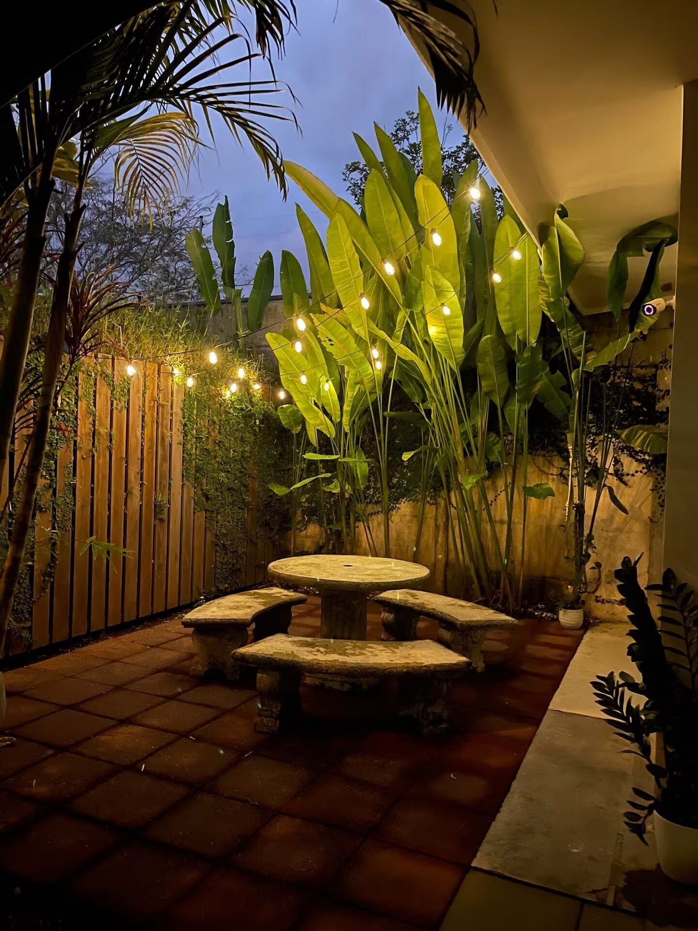 An outdoor patio area with a stone table and benches, surrounded by large tropical plants and a wooden fence.