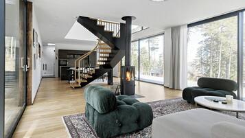 Fernseher, Kamin