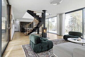 Fernseher, Kamin
