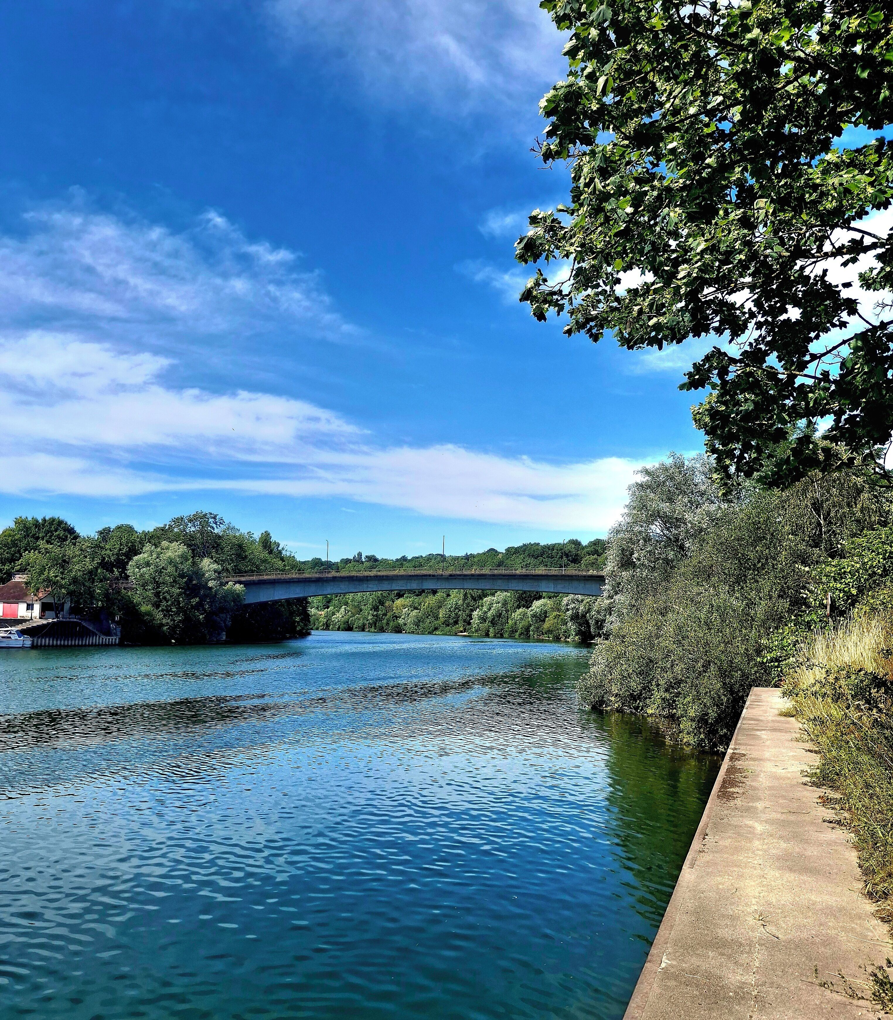 A river with a bridge, trees, and a concrete path alongside.