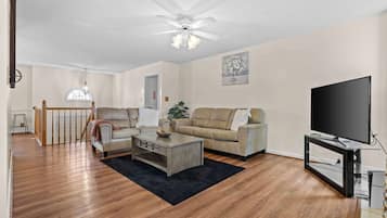 TV, fireplace, offices