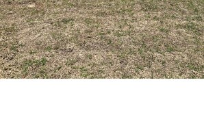 Unclassified image, 2 of 4, button