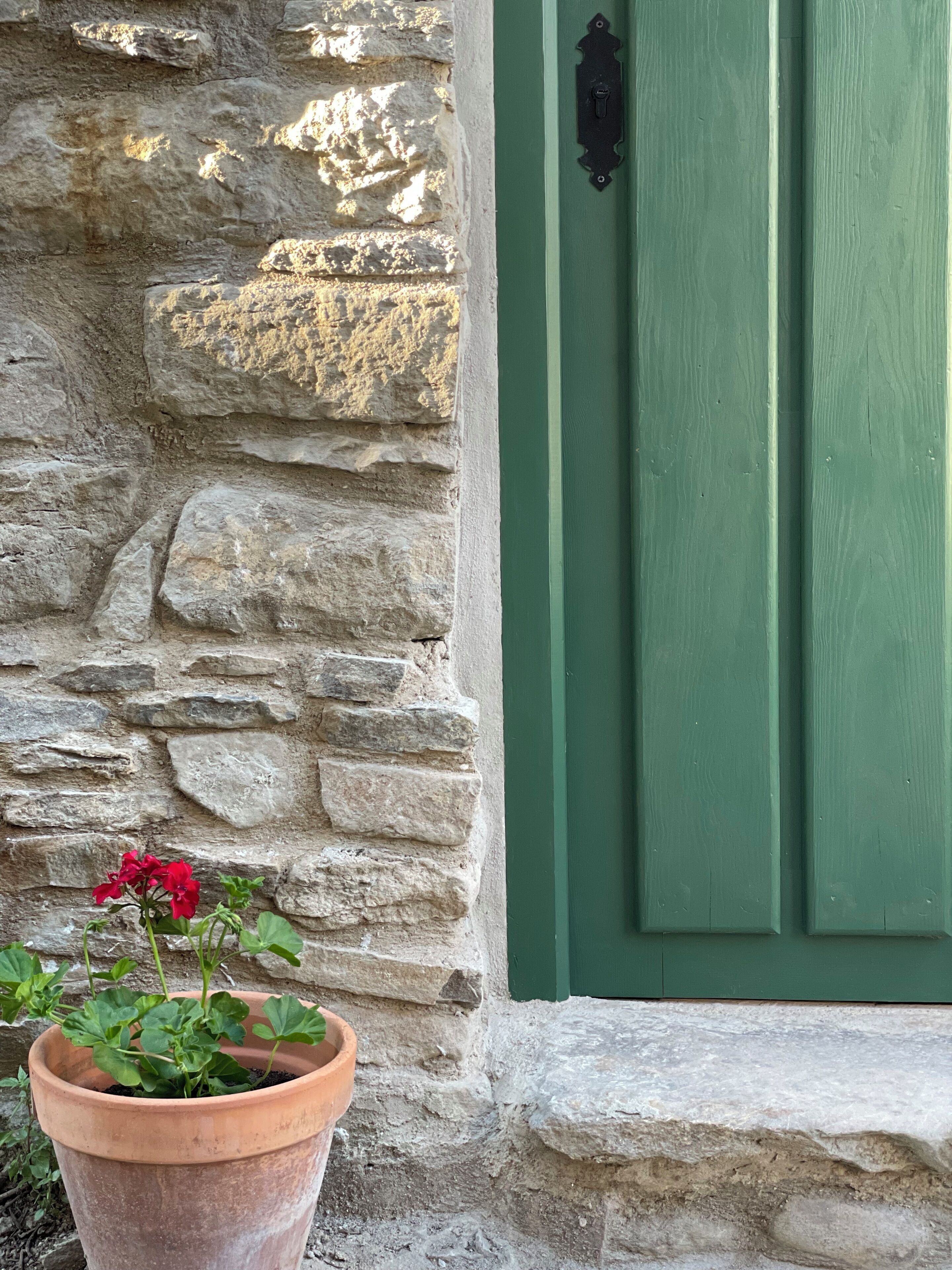 Un mur de pierre avec une porte verte et un pot en terre cuite orné de fleurs rouges.
