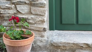 A stone wall with a green door and a terracotta pot with red flowers.