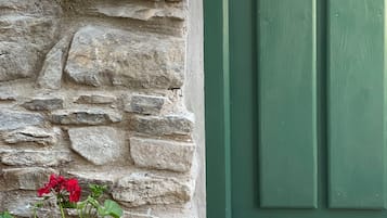 Un mur de pierre avec une porte verte et un pot en terre cuite orné de fleurs rouges.