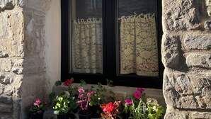A stone building with a window and potted plants.