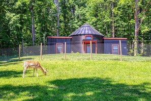 Un espace clos par une clôture, avec un bâtiment et un cerf qui broute.