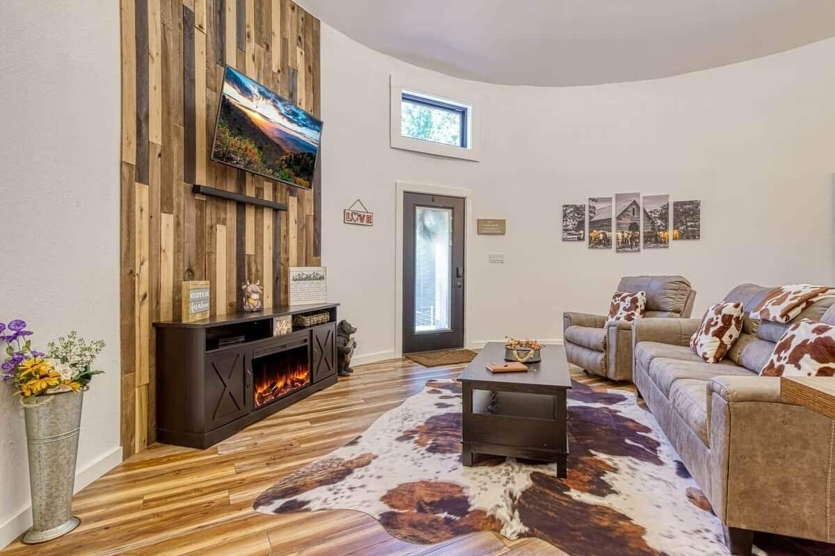 Fireplace, DVD player, books, video library
