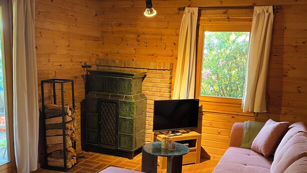 A cozy cabin interior with a sofa, television, fireplace, and wooden walls.